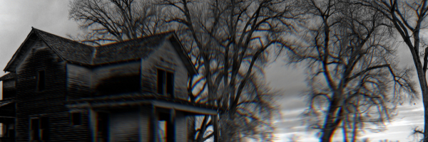 copy-of-search-canva